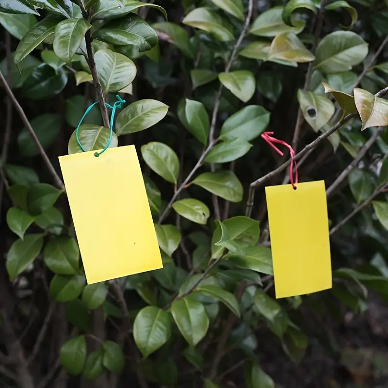 Yellow Sticky Trap - Small - 15 Pack for Home and Garden