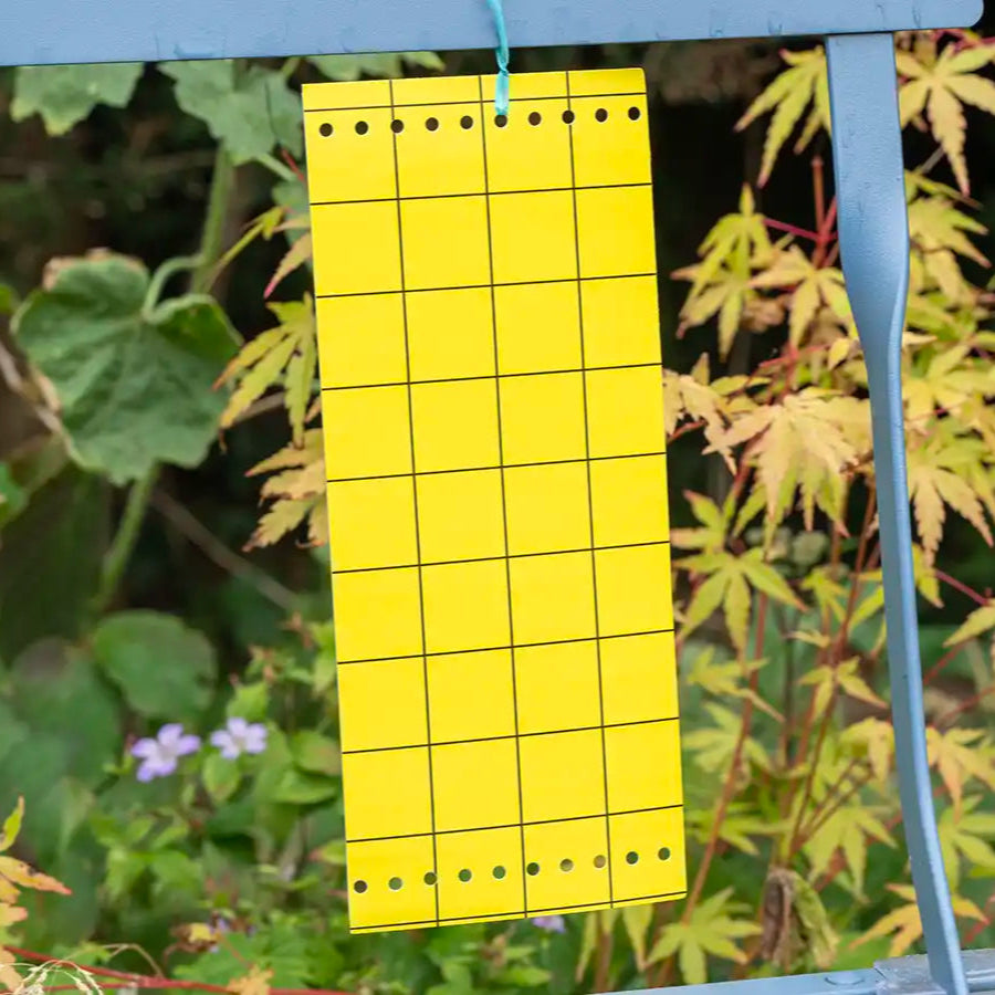 Yellow grid sheet attached to a blue stand with green leaves in the background