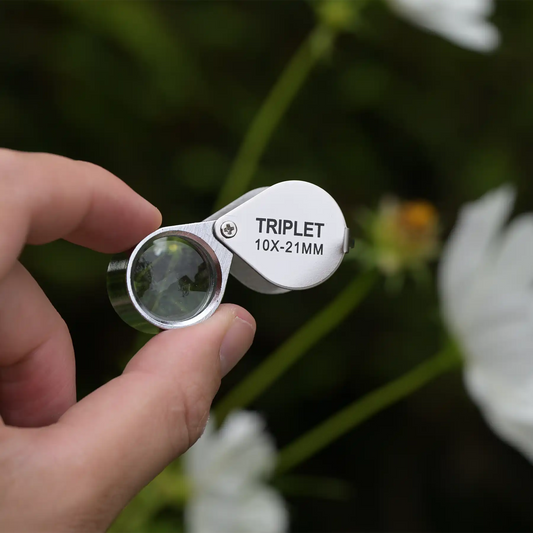 Hand holding a triplet magnifying glass with floral background