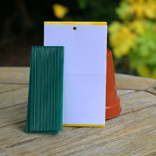 Yellow Sticky Trap - Small - 15 Pack for Home and Garden