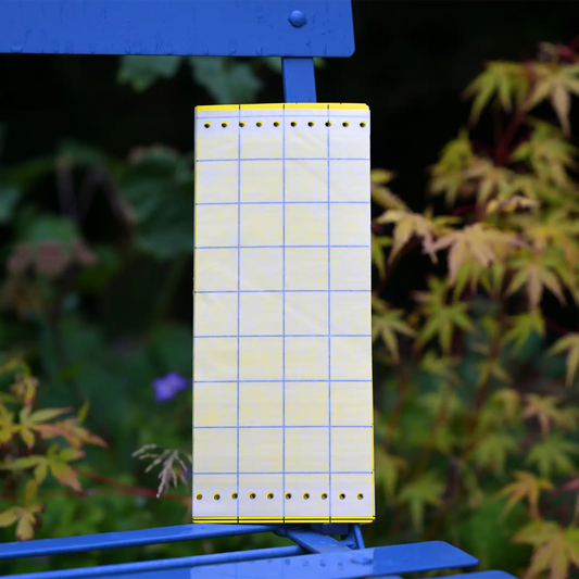 Yellow Sticky Trap Grid 10x24cm - 20 Pack