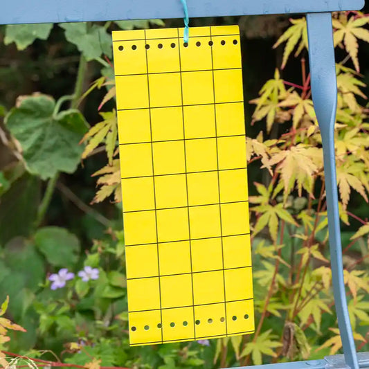 Yellow grid sheet attached to a blue stand with green leaves in the background